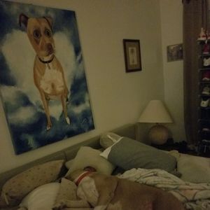 Meet your Posher, Miguel